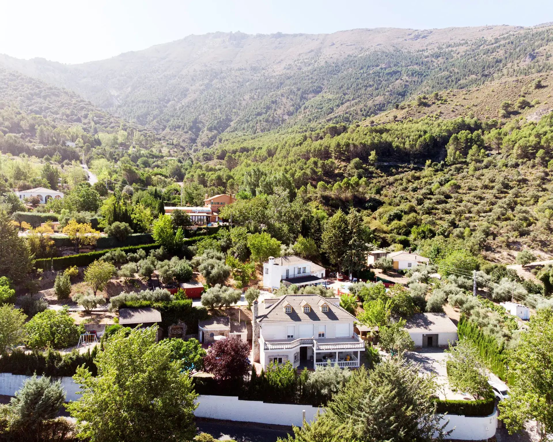 Panorámica del valle desde el aire, olivares hasta el horizonte